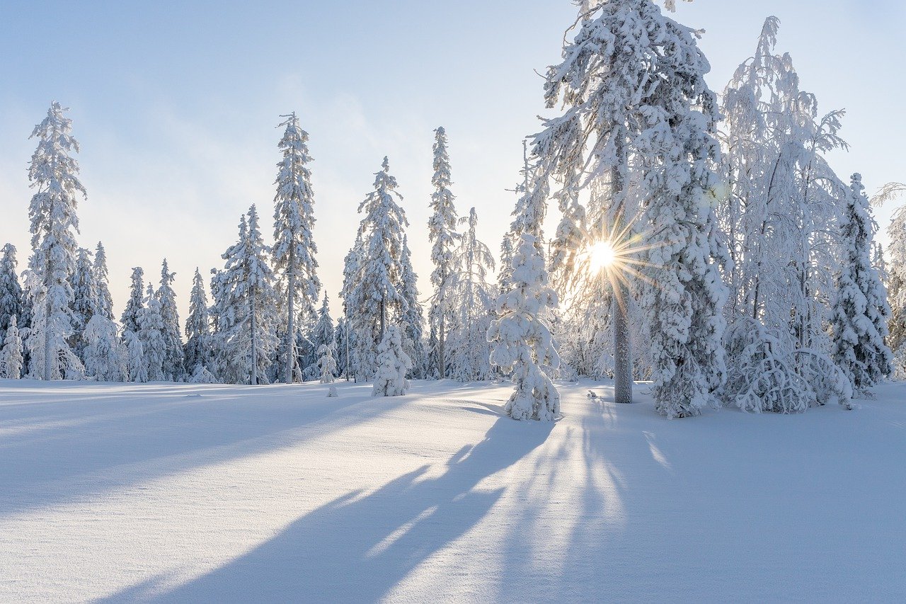 Today it is the “Half Snow Day” in Scandinavia